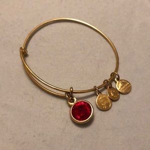 ♥️ Alex and Ani - Red Stone Charm Bangle ♥️